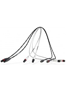 Synergistic Research Foundation IC